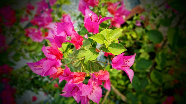 What are the implications of the stamp duty changes for first-time buyers in the UK?